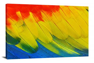 Parrot Feathers, 2017 - Canvas Wrap