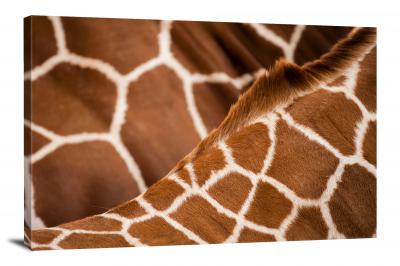 CW7038-macro-giraffe-patterns-00
