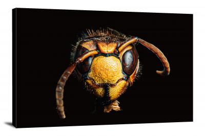 Closeup of a Wasps Face, 2019 - Canvas Wrap