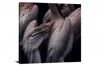 Flamingo Plumage, 2018 - Canvas Wrap