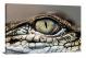 Croc Eye Macro, 2018 - Canvas Wrap