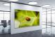 Ladybug Zoom, 2016 - Canvas Wrap1