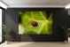 Ladybug Zoom, 2016 - Canvas Wrap2