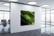 Green Frog Macro, 2019 - Canvas Wrap1