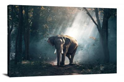 Elephant Walking on a Wet Road, 2016 - Canvas Wrap
