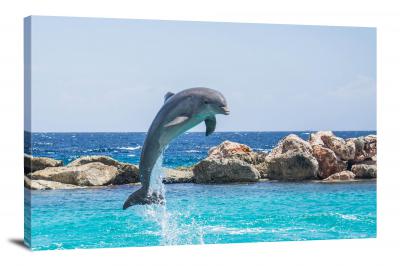 Leaping Dolphin, 2015 - Canvas Wrap