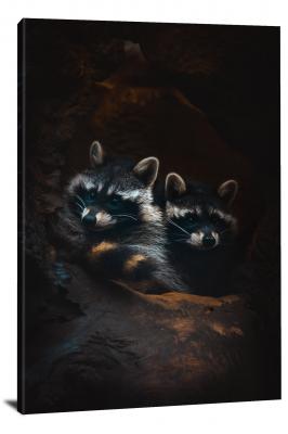 Racoon in the Tree, 2022 - Canvas Wrap