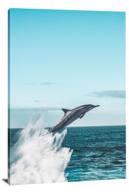 CW6588-mammals-dolphin-leaping-00