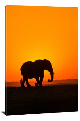 CW6592-mammals-elephant-silhouette-00
