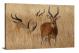 Horns in African Steppe, 2018 - Canvas Wrap