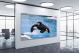 Sea World Orca, 2017 - Canvas Wrap1