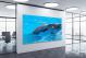 Two Dolphins Together, 2016 - Canvas Wrap1