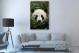 Giant Panda Eating, 2021 - Canvas Wrap3