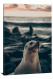 Sea Lion, 2020 - Canvas Wrap