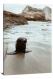 Baby Seal, 2020 - Canvas Wrap