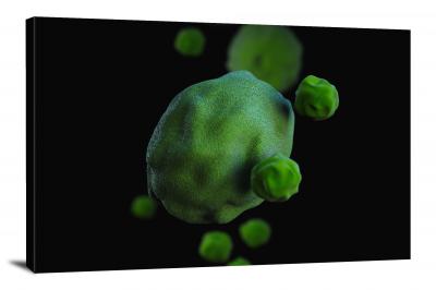 Chlamydia Pneumoniae bacteria, 2021 - Canvas Wrap