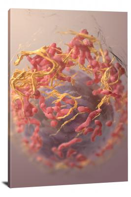 Melanoma Cell, 2021 - Canvas Wrap