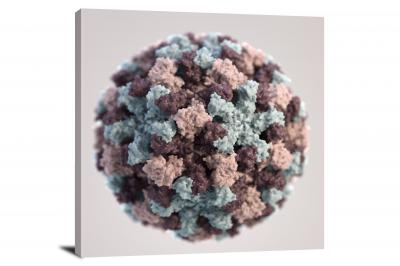 CW6904-microscopic-graphical-representation-of-a-single-norovirus-virion-00