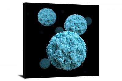 CW6912-microscopic-norovirus-virions-00
