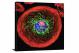 Polyploid Giant Cancer Cell, 2021 - Canvas Wrap