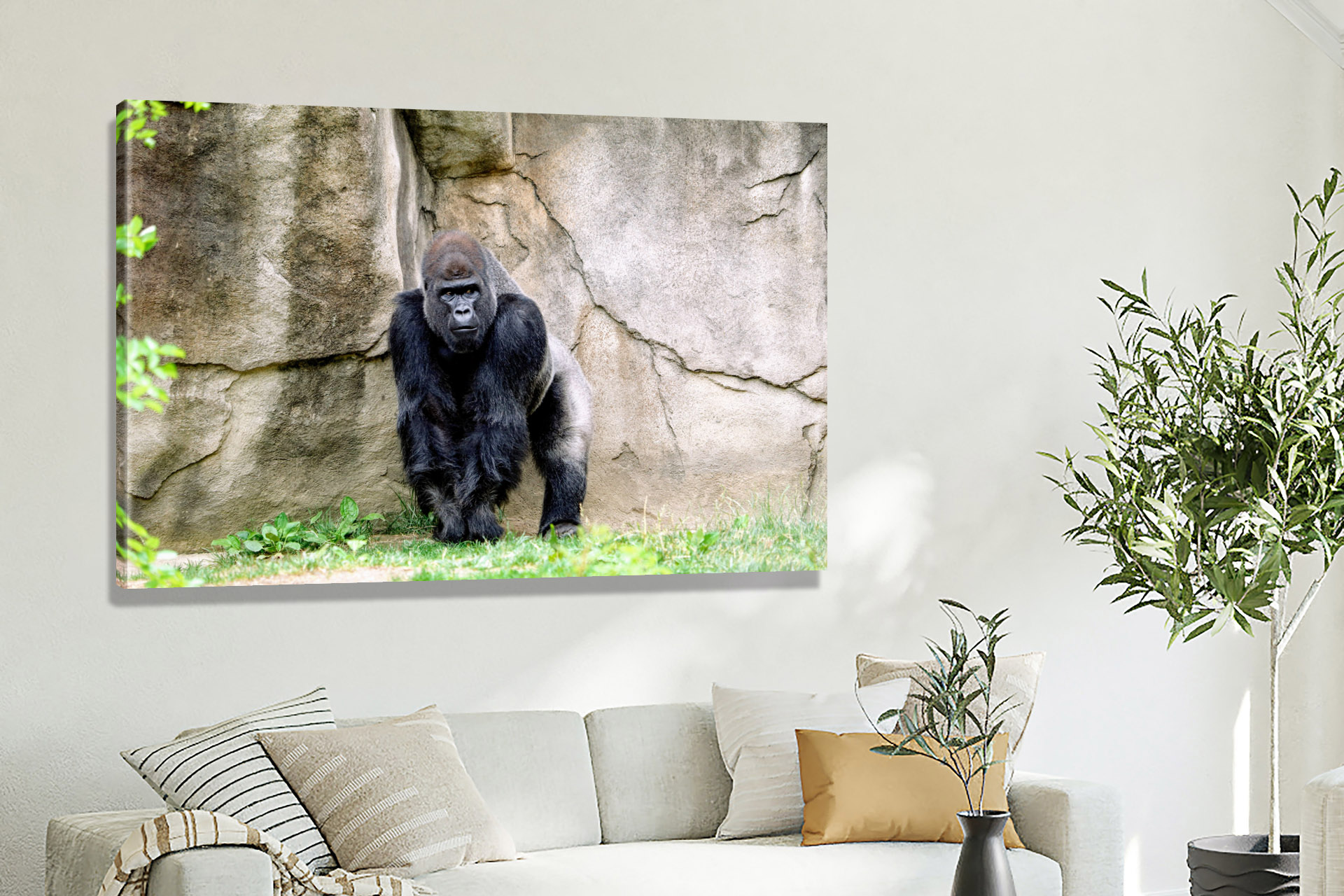 https://store.whiteclouds.com/media/large-canvas-wraps/large-canvas-wraps-animals/large-canvas-wrap-animals-primates/CW6933-primates-silverback-gorilla-03.jpg