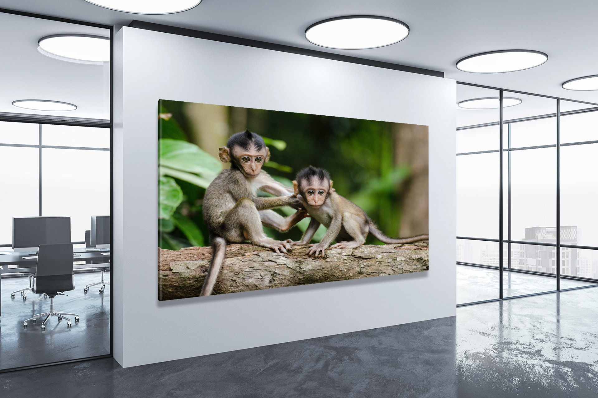 Baby monkey wrap deals