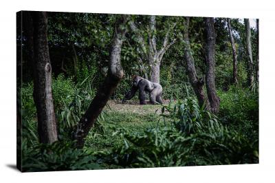 Gorilla in the Forest, 2017 - Canvas Wrap