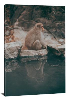 Monkey Reflection in the Bath, 2021 - Canvas Wrap