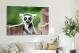 Ring Tailed Lemur, 2019 - Canvas Wrap3