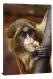 Snacking Primate, 2012 - Canvas Wrap