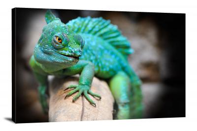 CW6652-reptiles-very-green-lizard-00