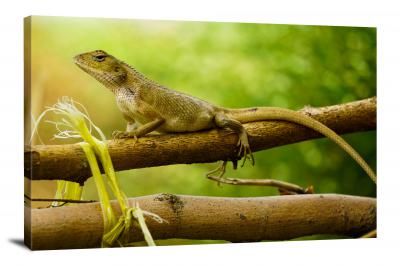 Small Lizard on a Branch, 2017 - Canvas Wrap