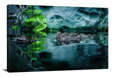 Alligator Under Water, 2021 - Canvas Wrap