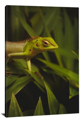 Green Lizard in the Green Foliage, 2018 - Canvas Wrap