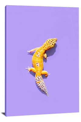 Pet Leopard Gecko, 2019 - Canvas Wrap
