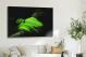 Green Snake on Branch, 2021 - Canvas Wrap3