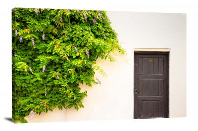 CW5746-doors-door-at-the-botanic-gardens-00