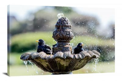 CW5428-fountains-bird-bath-00