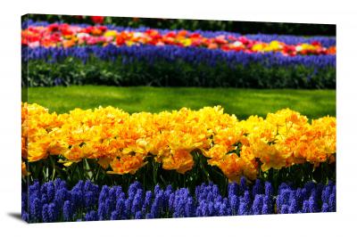 CW5717-gardens-keukenhof-flower-fields-00