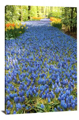 CW5731-gardens-blue-flower-path-00