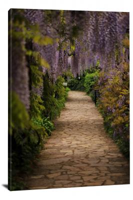 CW5738-gardens-wisteria-path-00