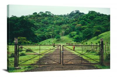CW5777-gates-horse-pasture-gate-00