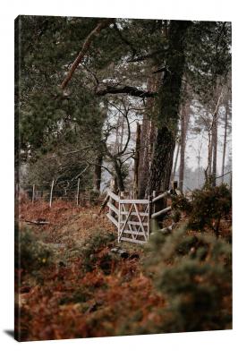 CW5799-gates-countryside-forest-entrance-00