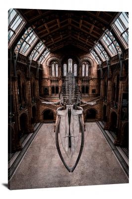 The Blue Whale at the Natural History Museum, 2018 - Canvas Wrap