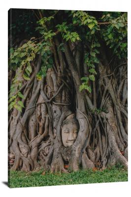 CW5647-ruins-ayutthaya-tree-00