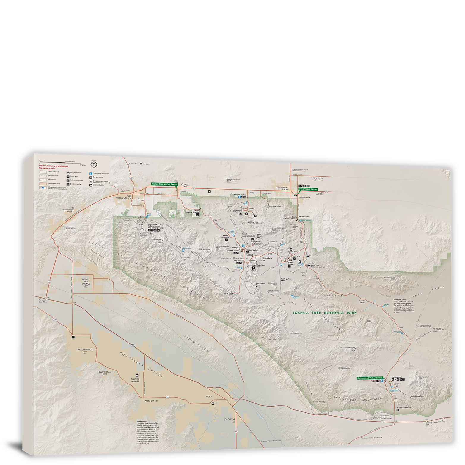 Joshua Tree National Park Map, 2021 - Canvas Wrap