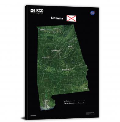 Alabama-USGS Landsat Mosaic, 2022 - Canvas Wrap