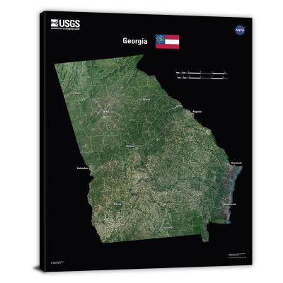 Georgia-USGS Landsat Mosaic, 2022 - Canvas Wrap