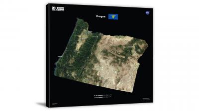 Oregon-USGS Landsat Mosaic, 2022 - Canvas Wrap