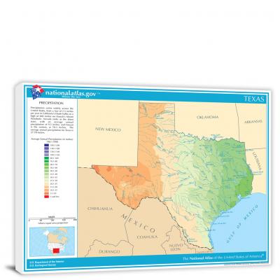 Texas-Annual Precipitation Map, 2022 - Canvas Wrap